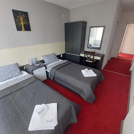 Daire S&s Milicevic U Strogom Centru Aleksandrovca