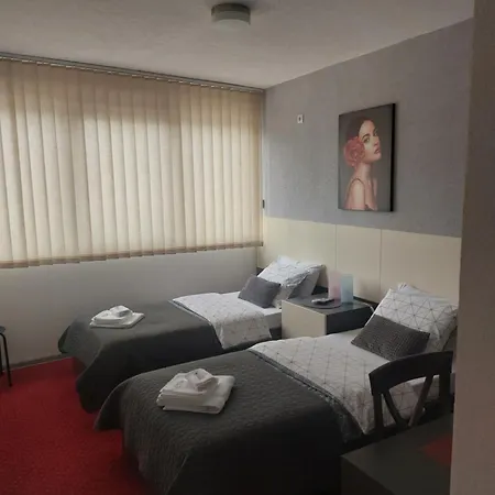 S&s Milicevic U Strogom Centru Aleksandrovca Apartment