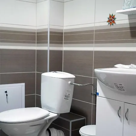 Daire S&s Milicevic U Strogom Centru Aleksandrovca *