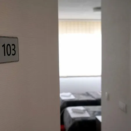Apartment S&s Milicevic U Strogom Centru Aleksandrovca *