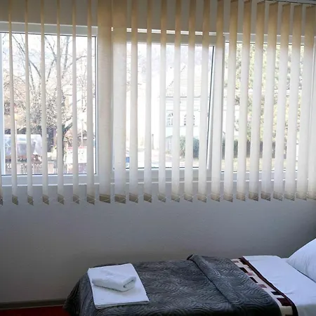 S&s Milicevic U Strogom Centru Aleksandrovca Apartment