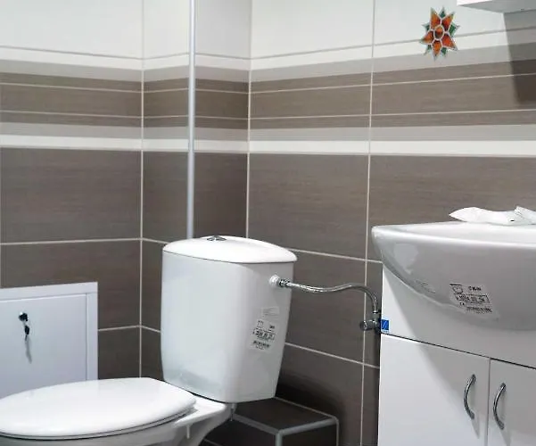 公寓 S&s Milicevic U Strogom Centru Aleksandrovca *