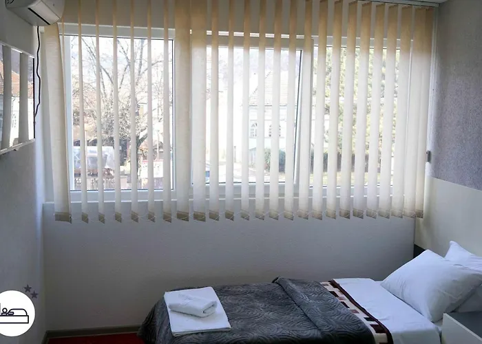 S&s Milicevic U Strogom Centru Aleksandrovca Apartmán